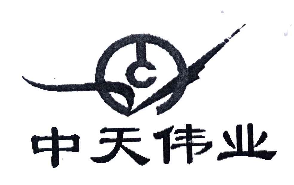 中天伟业