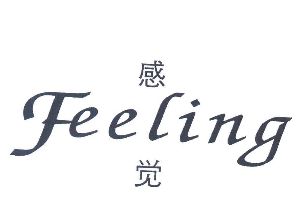 感觉FEELING