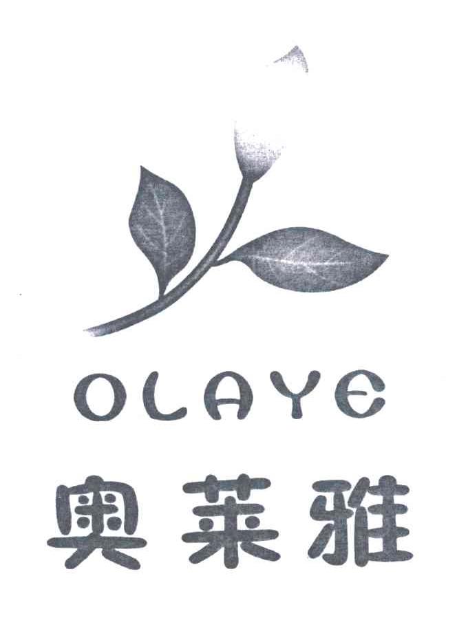 奥莱雅 OLAYE