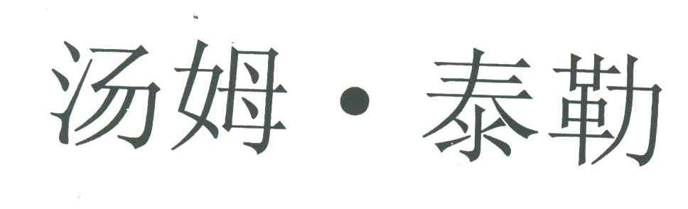 汤姆.泰勒