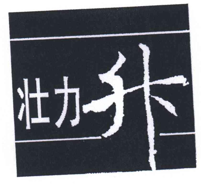 壮力升