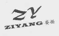 姿扬