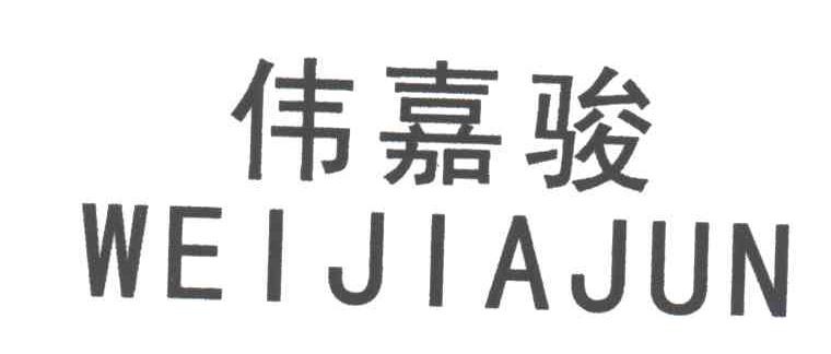 伟嘉骏