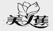 美人蕉