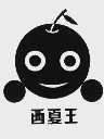 西夏王