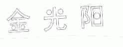 金光阳