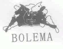 BOLEMA