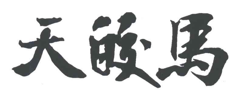 天皎马