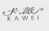 卡薇