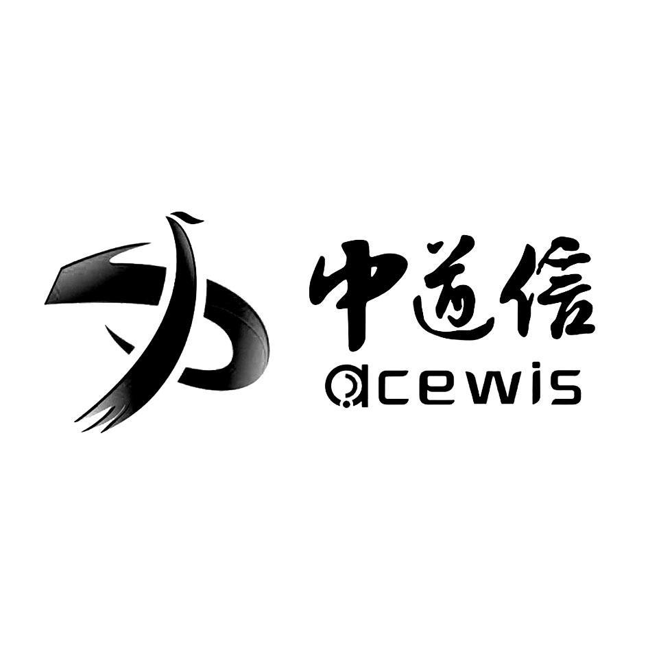 中道信 ACEWIS