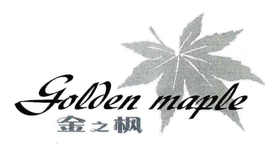 金之枫 GOLDEN MAPLE