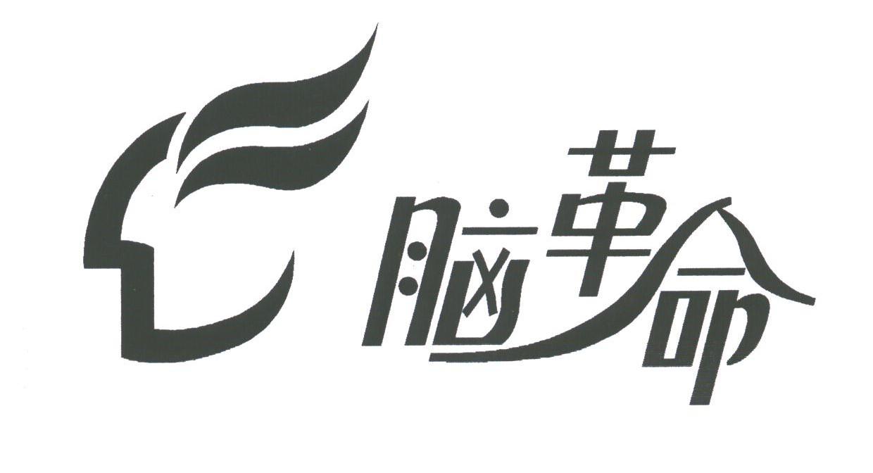 脑革命