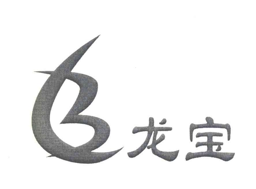 龙宝