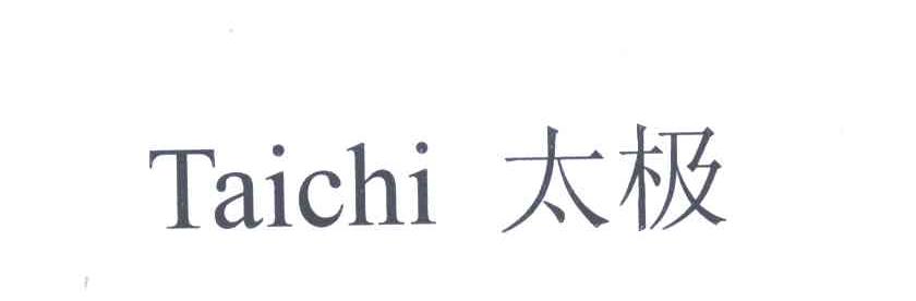 太极;TAICHI