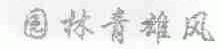 园林青雄风