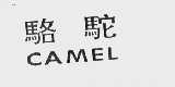 骆驼   CAMEL