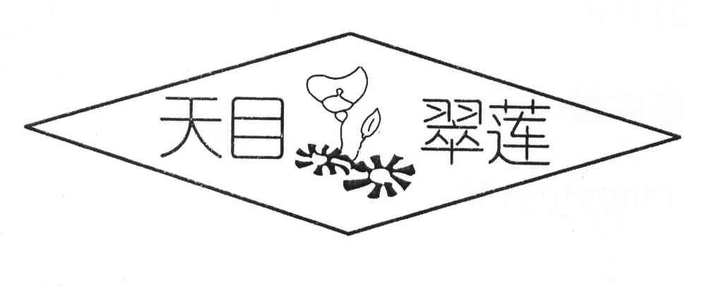 天目翠莲