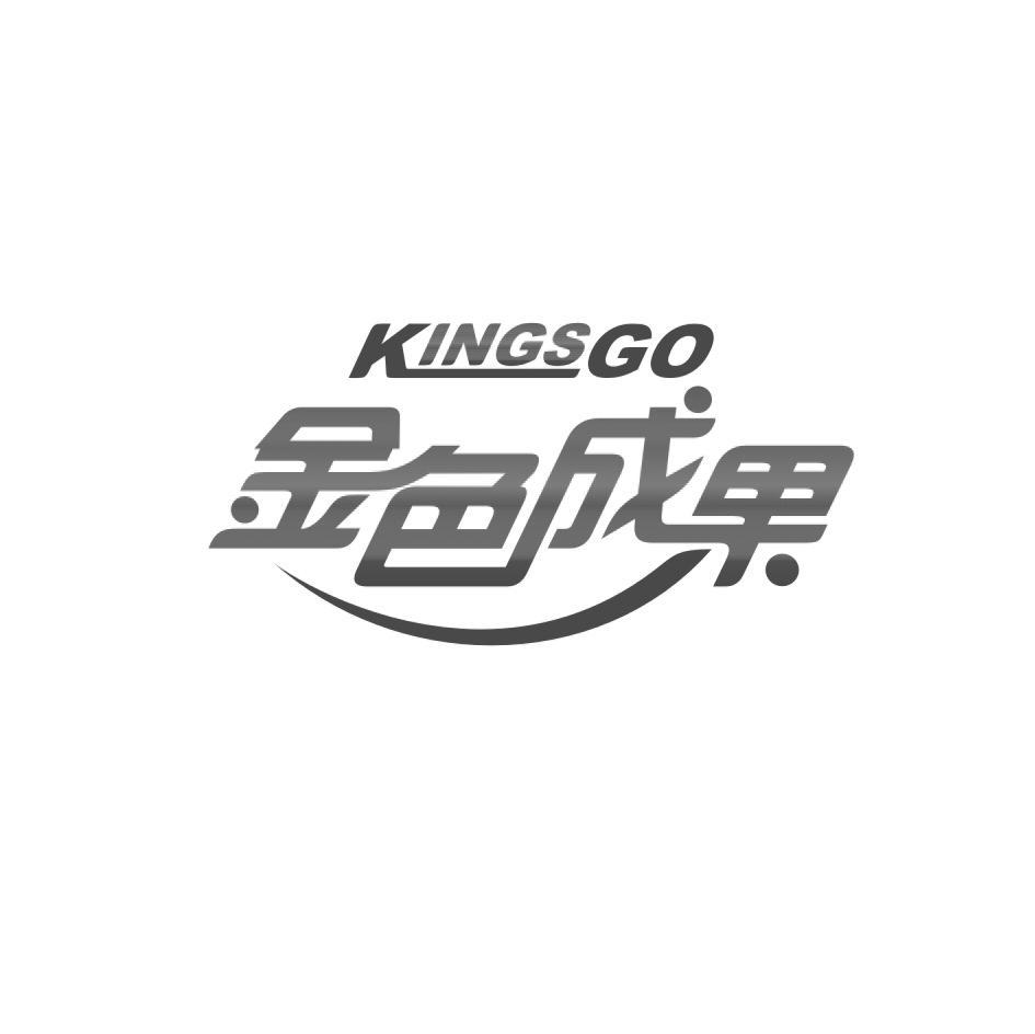 金色成果 KINGSGO