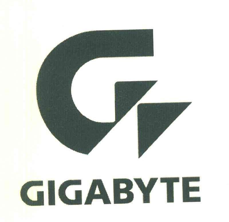 GIGABYTE G