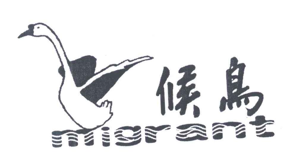 候鸟;MIGRANT
