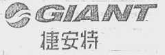 GIANT    捷安特