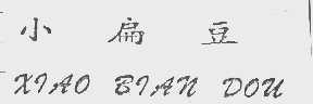 小扁豆