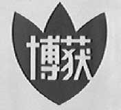 博获