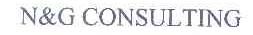 N&G CONSULTING