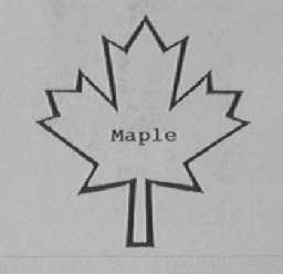 MAPLE