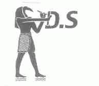 DS