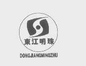 东江明珠