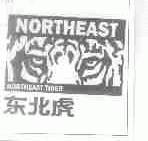 东北虎;NORTHEAST TIGER;NORTHEAST