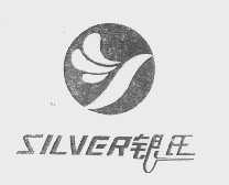银氏   SILVER