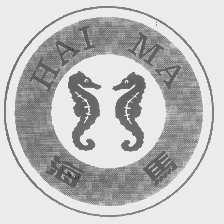 海马