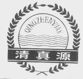 清真源