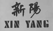 新阳