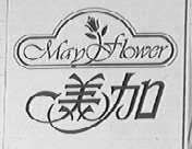 美加  MAY FLOWER