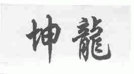 坤龙