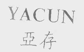 亚存