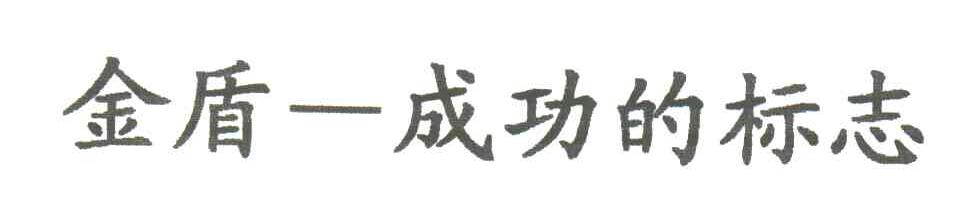 金盾成功的标志