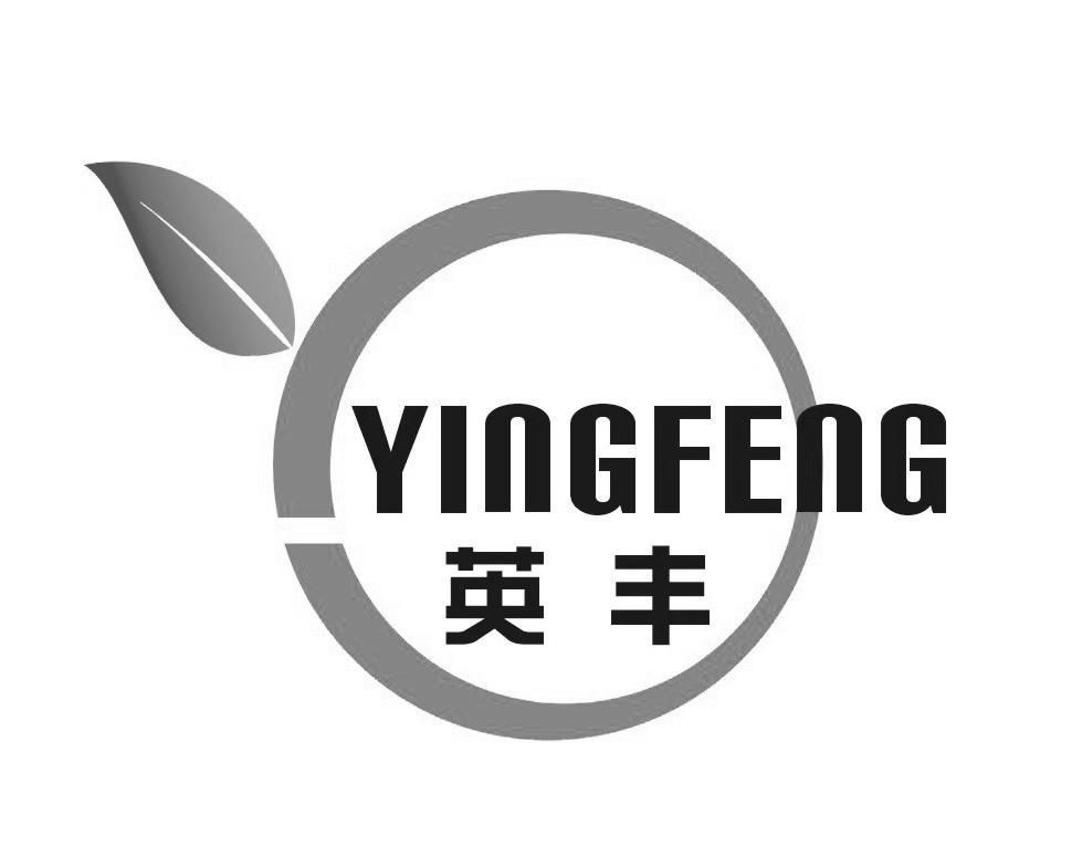英丰