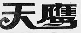 天鹰