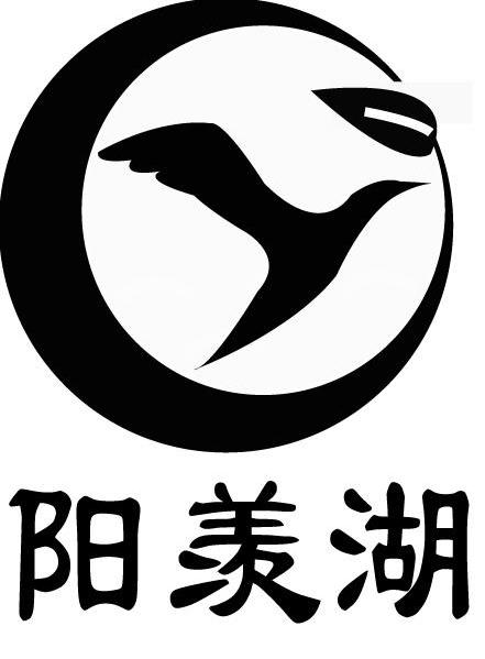 阳羡湖