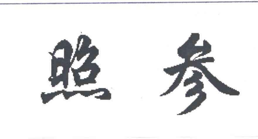 照参