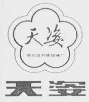 天姿