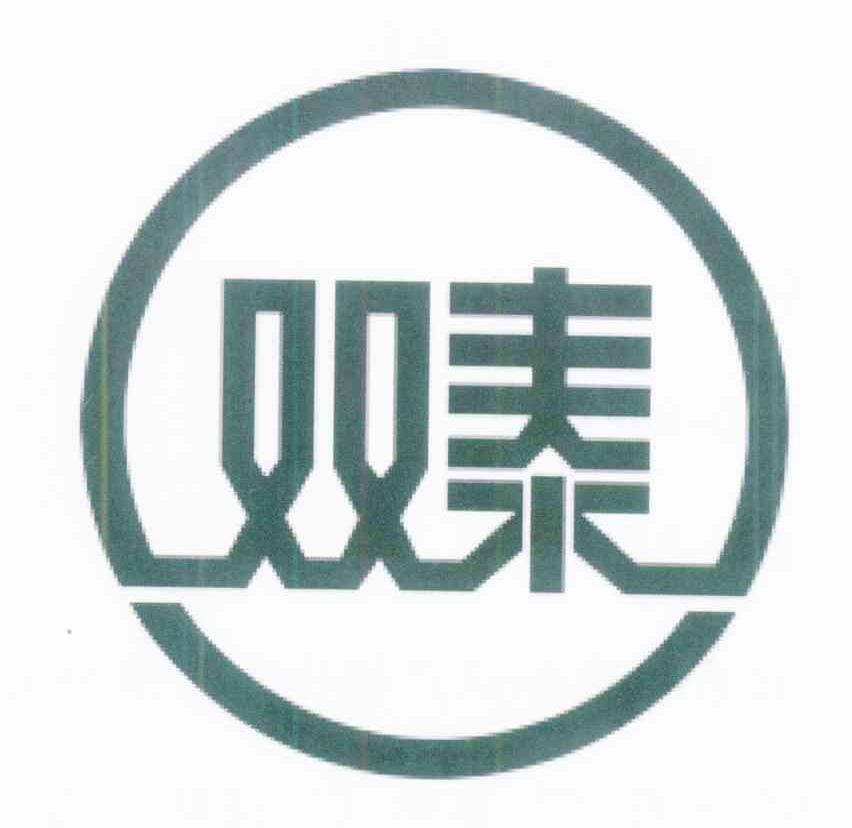 双泰