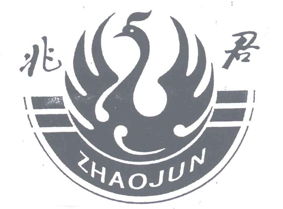 兆君