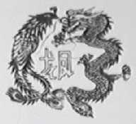 龙凤