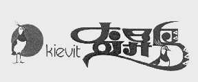 奇异鸟   KIEVIT