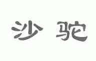 沙驼